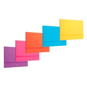 Carpeta Cartera A4 Un Elástico Surtidos Softcolor Data Zone